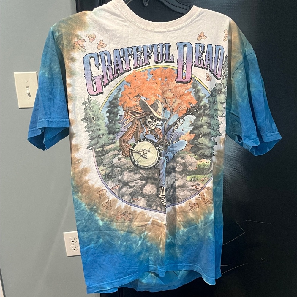 Grateful Dead Blue and Brown Tie-Dye T-Shirt